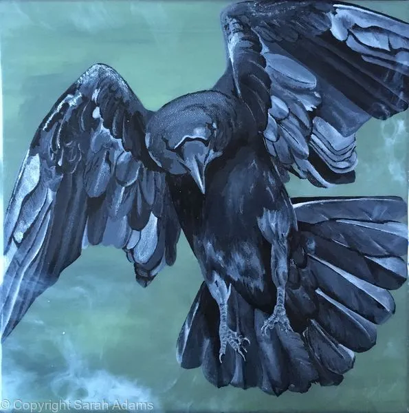 51515 diecast car storage