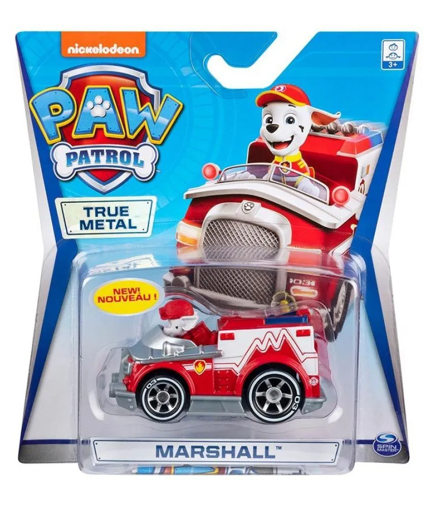 51695 chases police cruiser